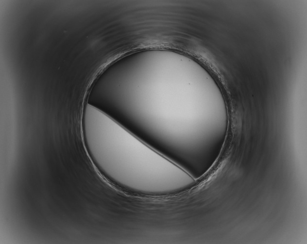 X0000097951041200803241149