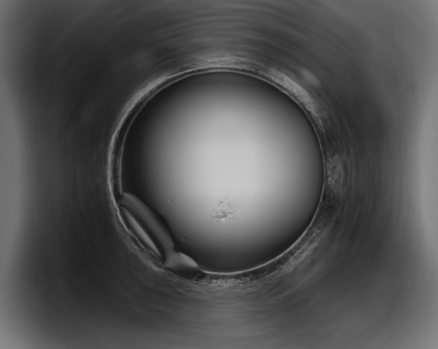 X0000097951043200803241149