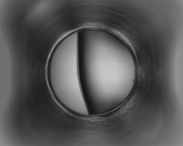 X0000097951045200803241149