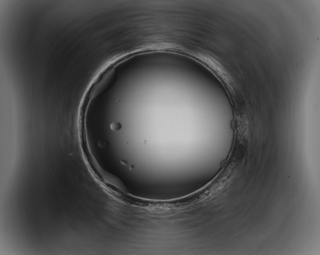 X0000097951046200803241149