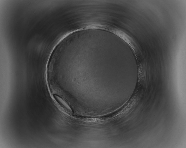 X0000097951047200803241149