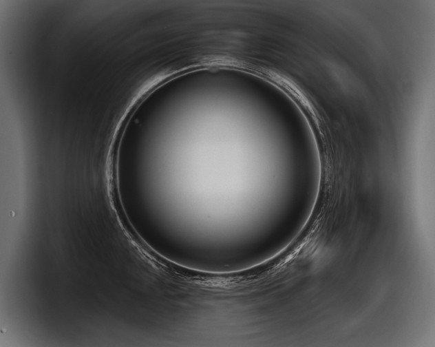 X0000097951048200803241149