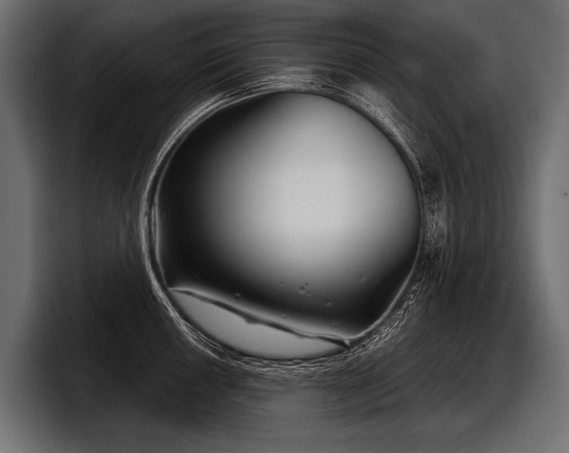 X0000097951050200803241149