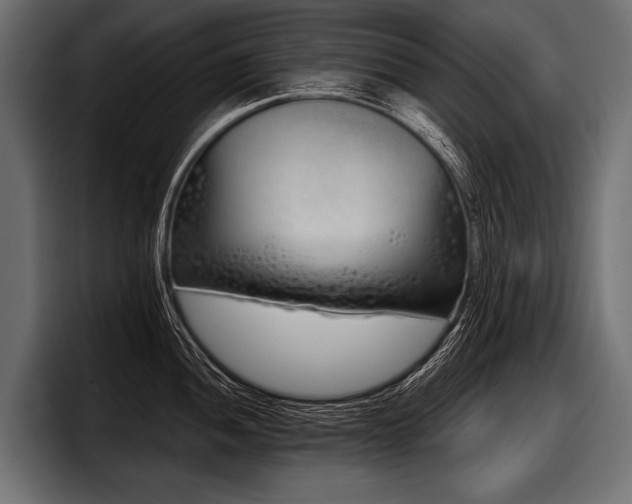 X0000097951052200803241150