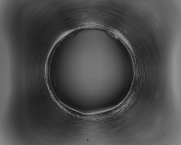 X0000097951053200803241150