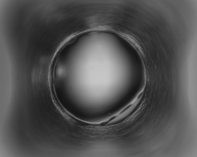 X0000097951054200803241150