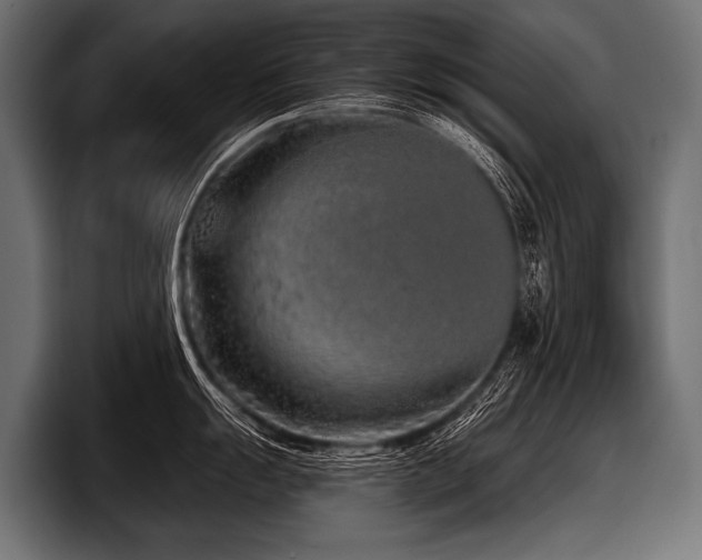 X0000097951055200803241150