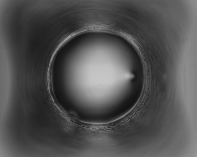 X0000097951056200803241150
