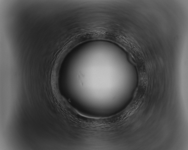 X0000097951057200803241149