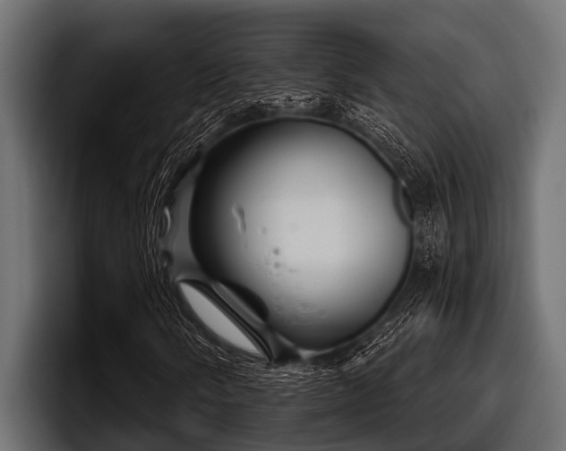 X0000097951058200803241149