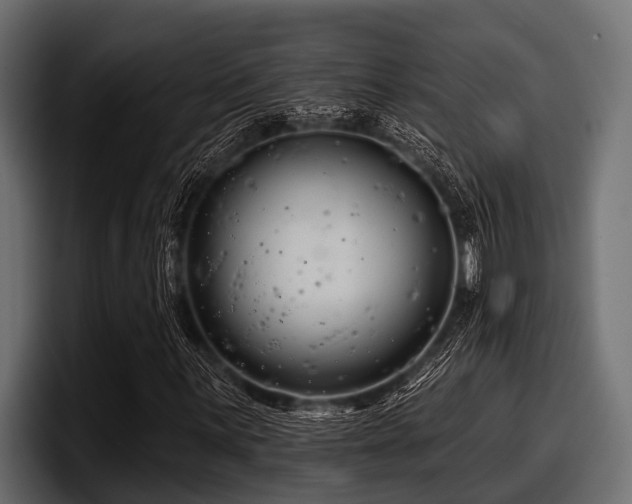 X0000097951059200803241149
