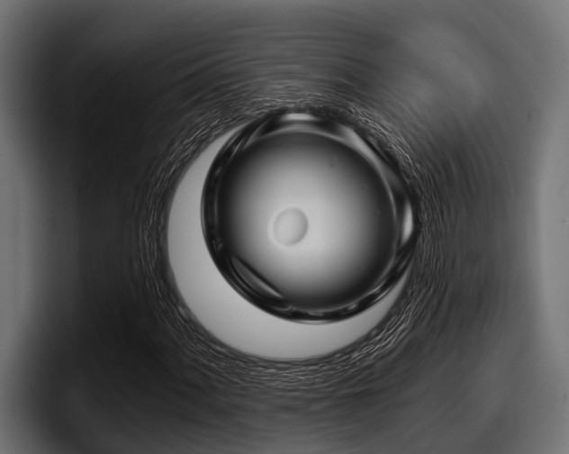 X0000097951060200803241149
