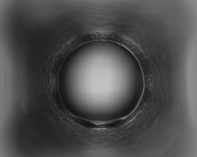 X0000097951061200803241149