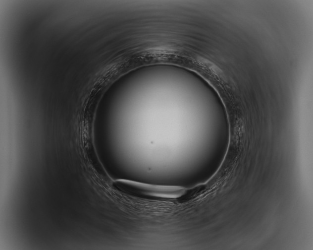 X0000097951062200803241149