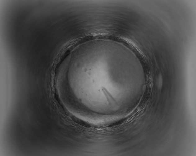 X0000097951063200803241149