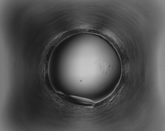 X0000097951064200803241149