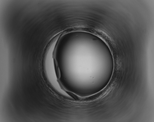 X0000097951065200803241149