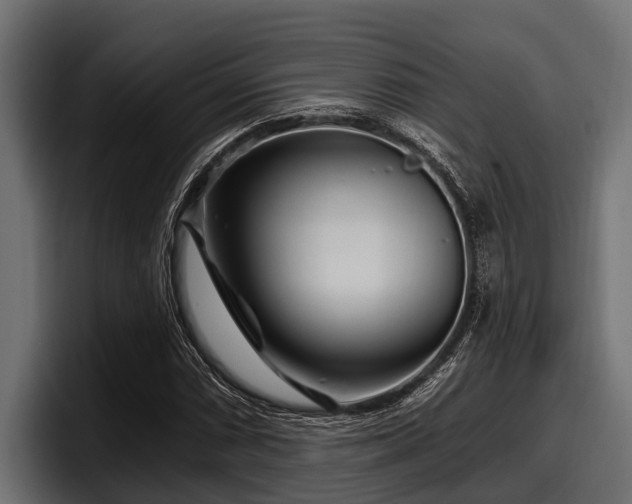 X0000097951066200803241149