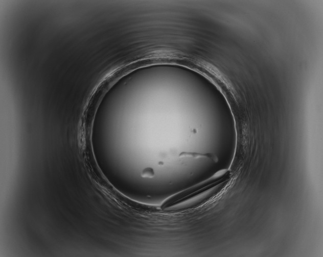 X0000097951067200803241149