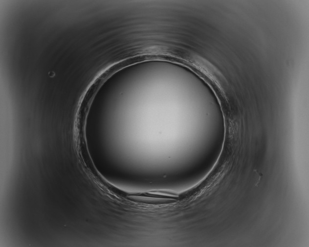 X0000097951068200803241149