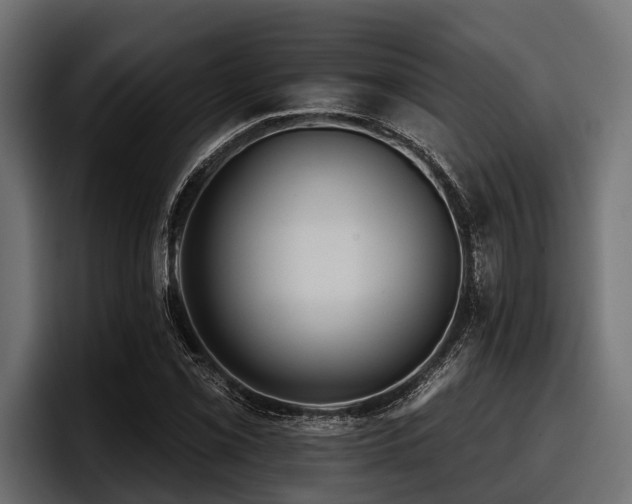 X0000097951069200803241149