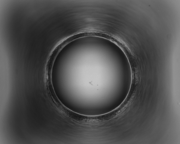 X0000097951070200803241149
