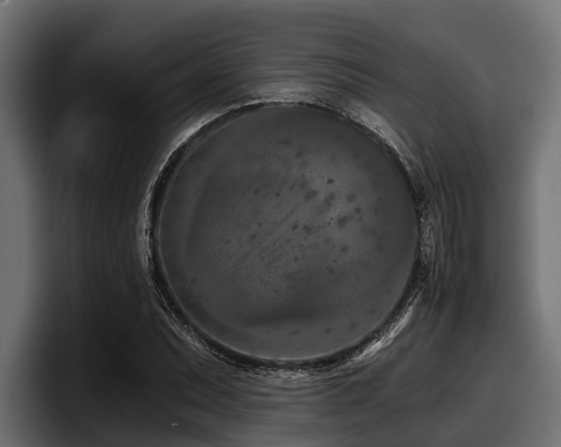 X0000097951071200803241149
