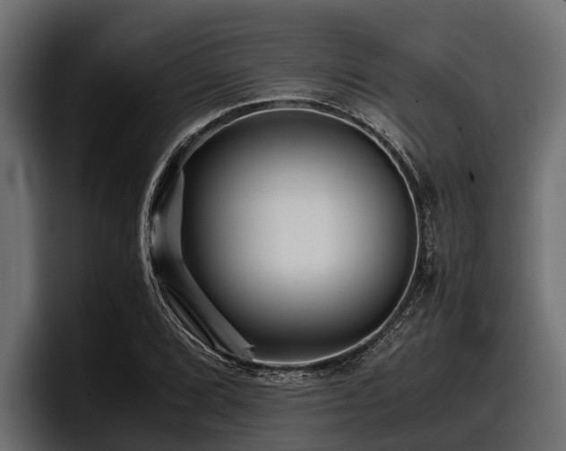 X0000097951072200803241149