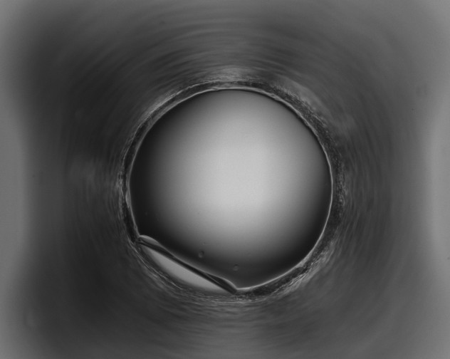 X0000097951073200803241149