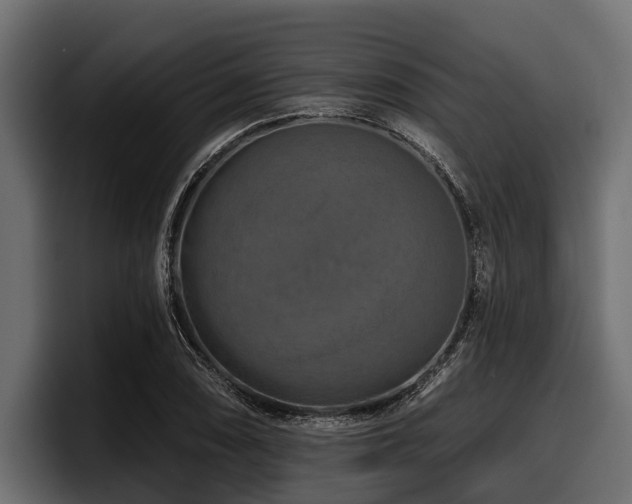 X0000097951074200803241149