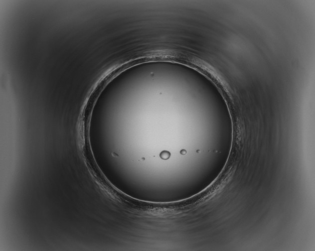 X0000097951075200803241149