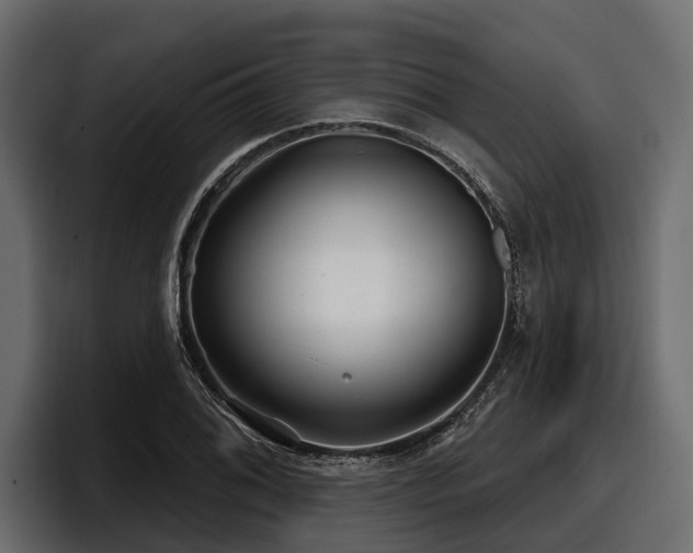 X0000097951076200803241149