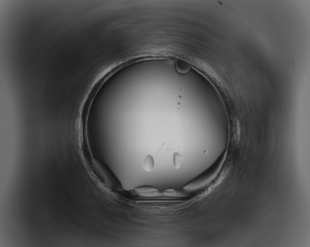 X0000097951079200803241149