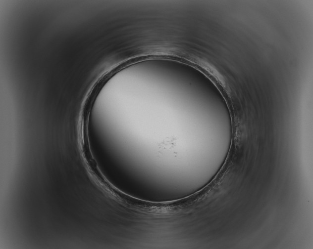 X0000097951080200803241149
