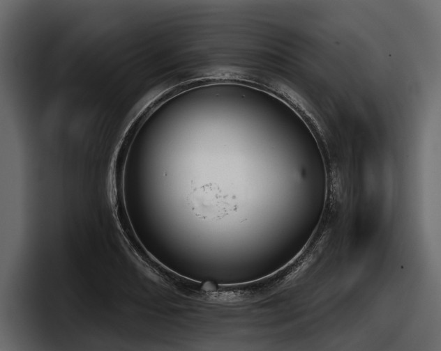 X0000097951082200803241149