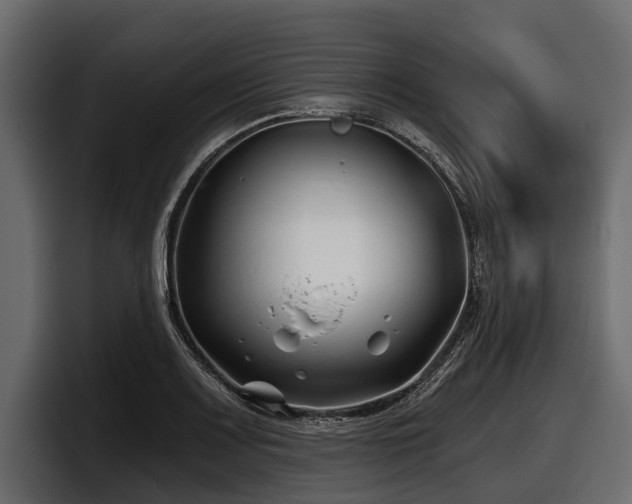 X0000097951083200803241149