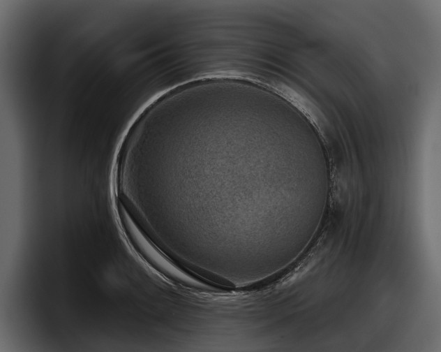 X0000097951084200803241149