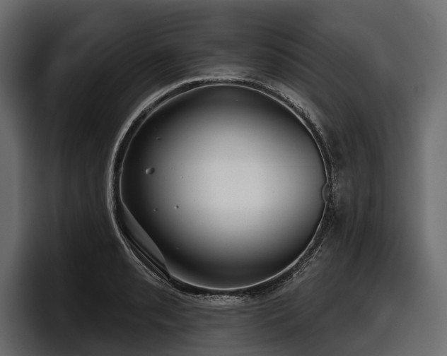 X0000097951085200803241149
