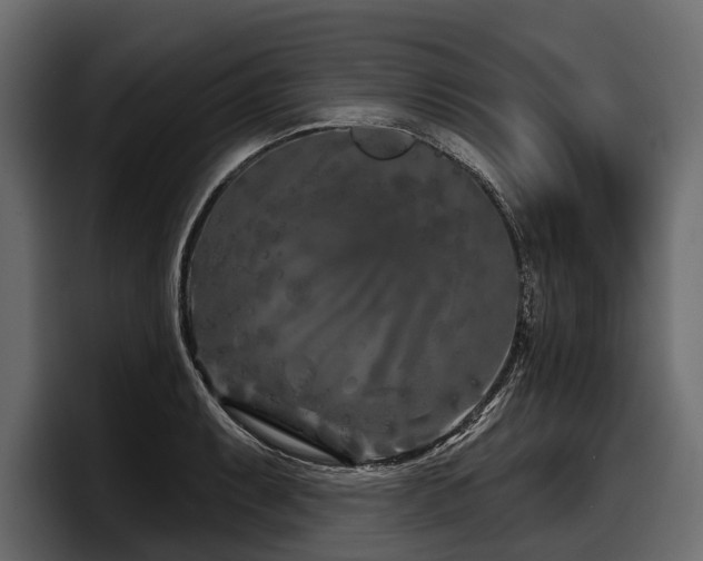 X0000097951087200803241149