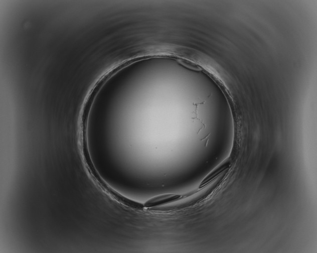 X0000097951088200803241149