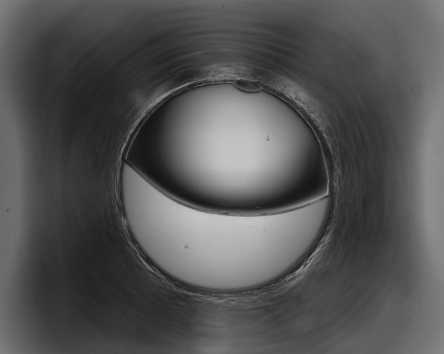 X0000097951089200803241149