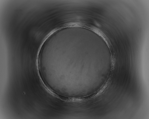 X0000097951090200803241149