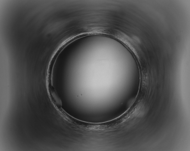 X0000097951093200803241148