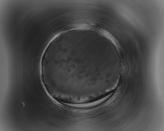 X0000097951095200803241148