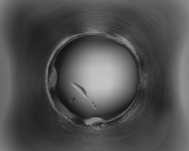X0000097951096200803241148
