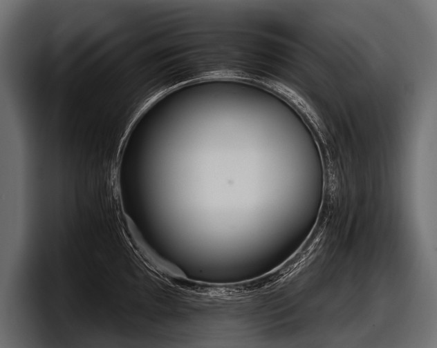 X0000097951097200803241148