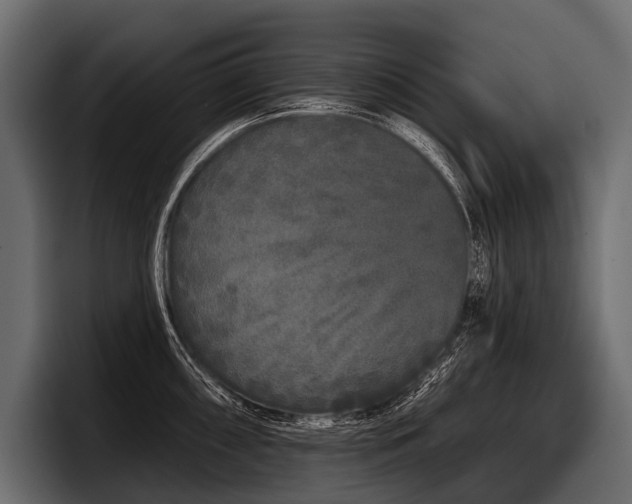 X0000097951098200803241148