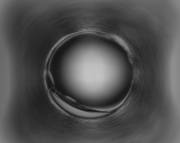 X0000097951100200803241148