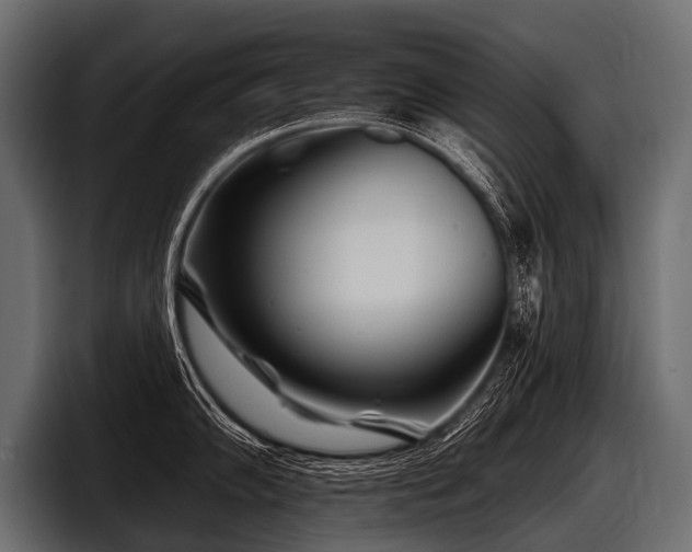 X0000097951102200803241148