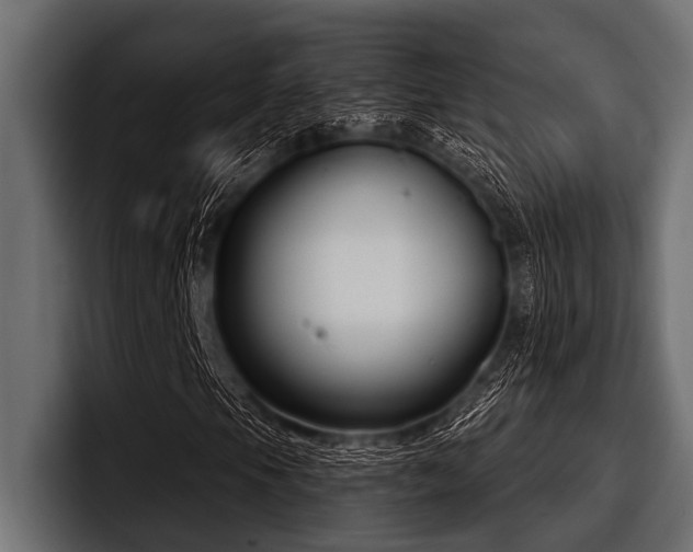 X0000097951105200803241148